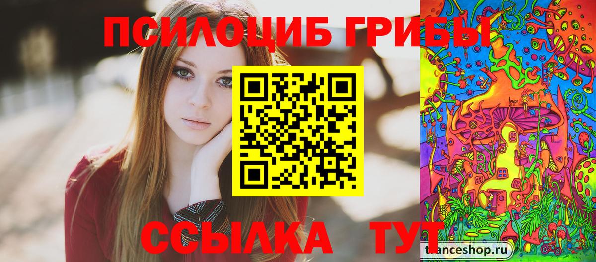 Абакан  Галлюциногенные грибы Cubensis  Вход с VPN 